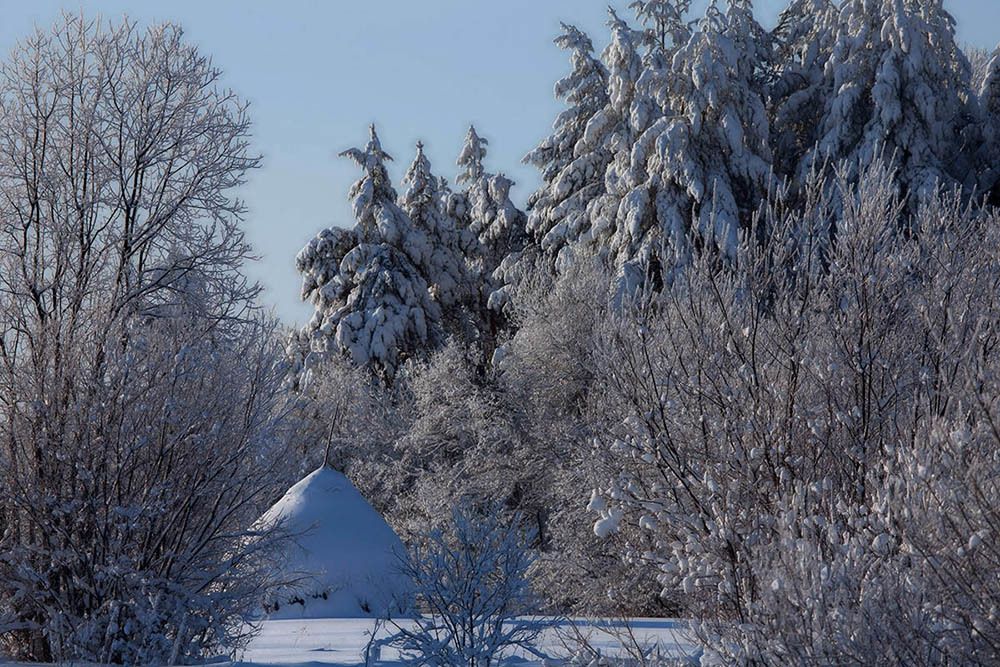 Photograph by Nikolay  Karachev