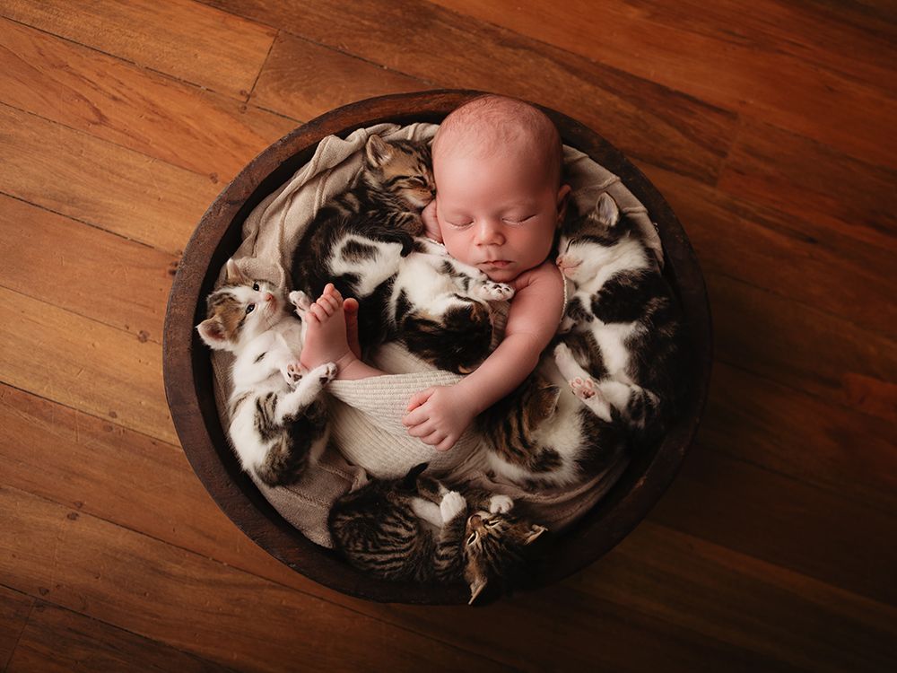 Baby Theo and kittens