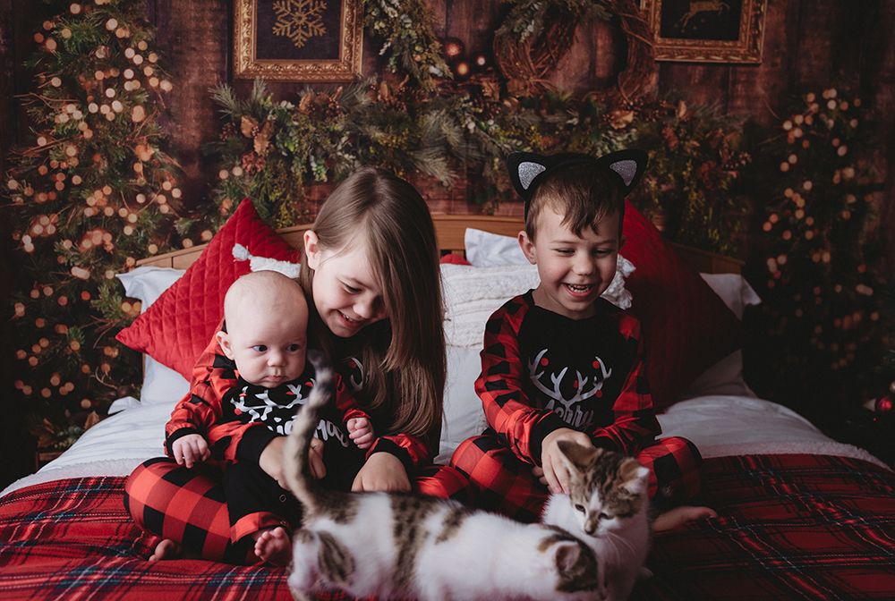 Christmas kids and kittens