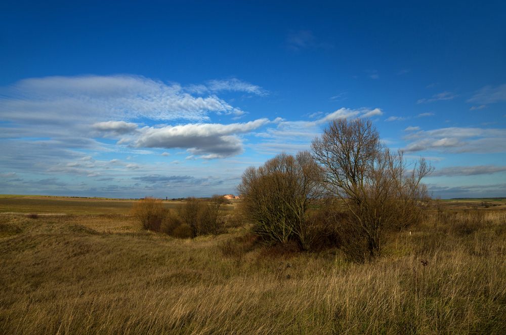 Photograph by Андрей Бурда