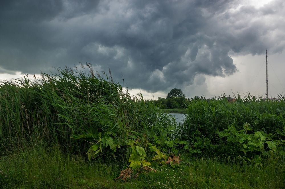 Photograph by Андрей Бурда