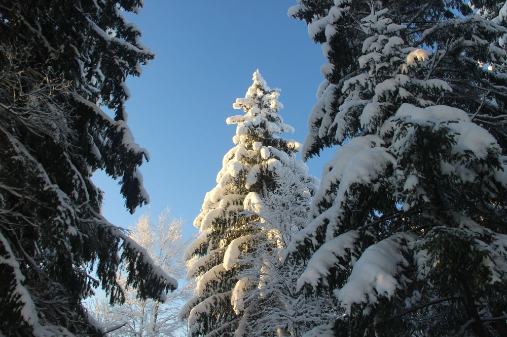 Photograph by Макарова Татьяна