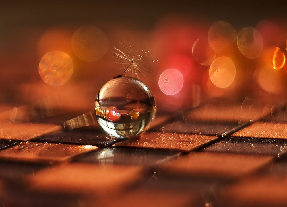 Photograph by Елена Осколкова