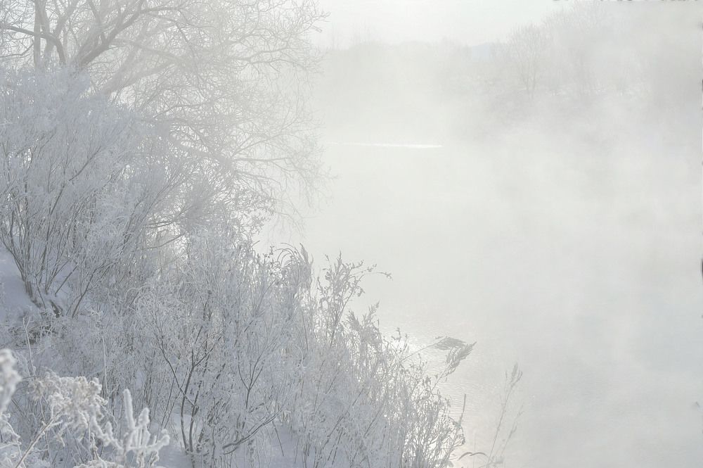 Photograph by Елена Осколкова