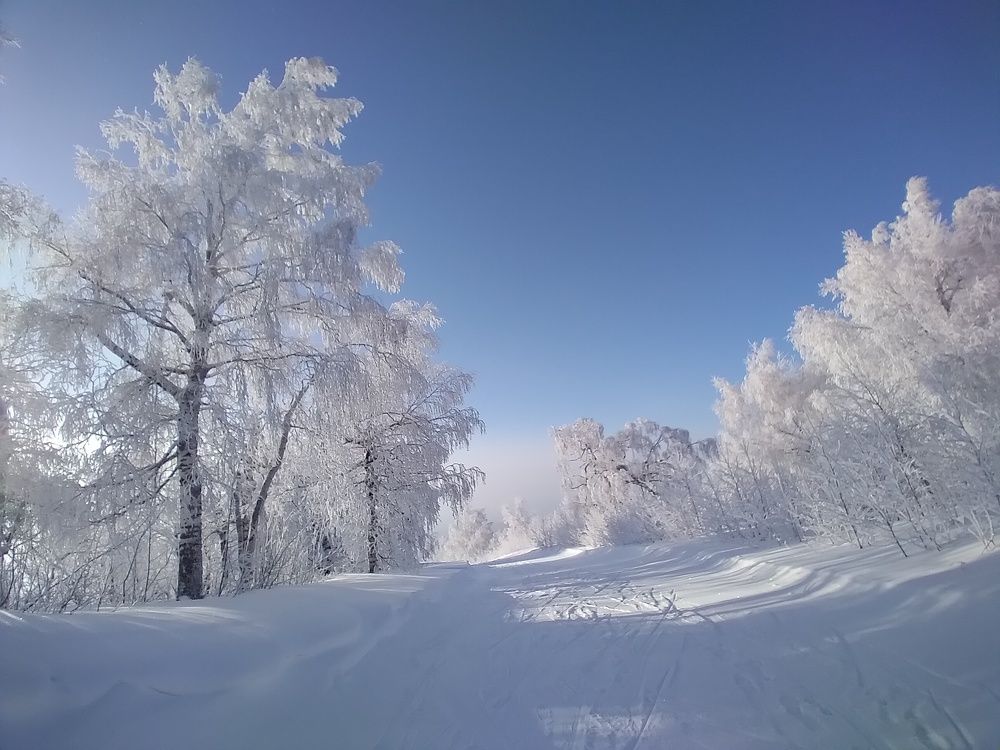 Photo #5575402