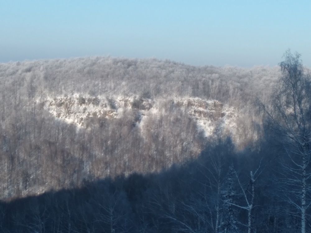 Photo #5575403