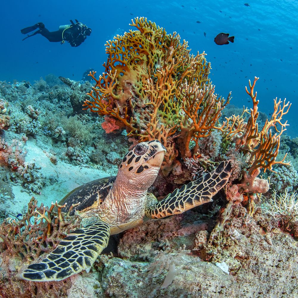 Photograph by Сергей Федоренко