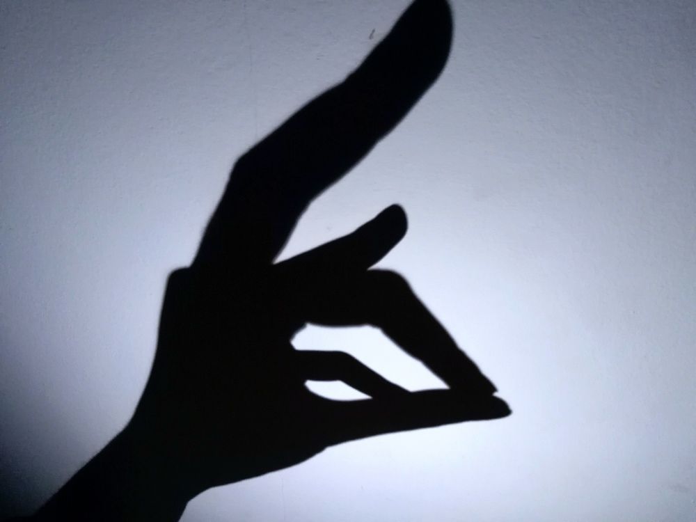 Photograph by Darko Milojevic