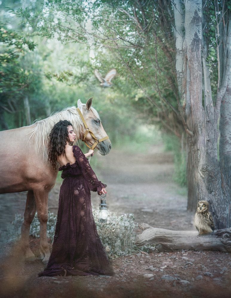 The path through the forest