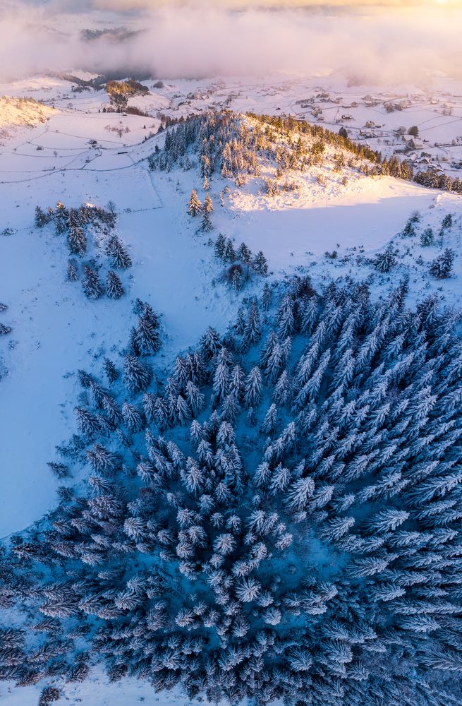 Photograph by Adelin Crin