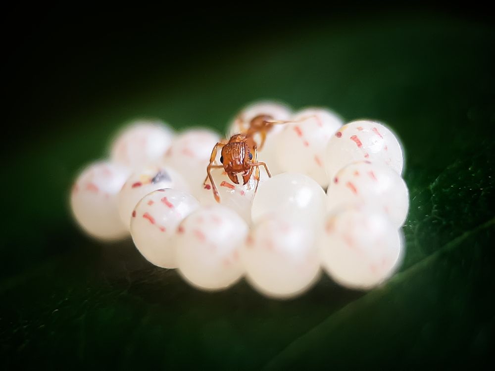 Photograph by Wandy Jennifer