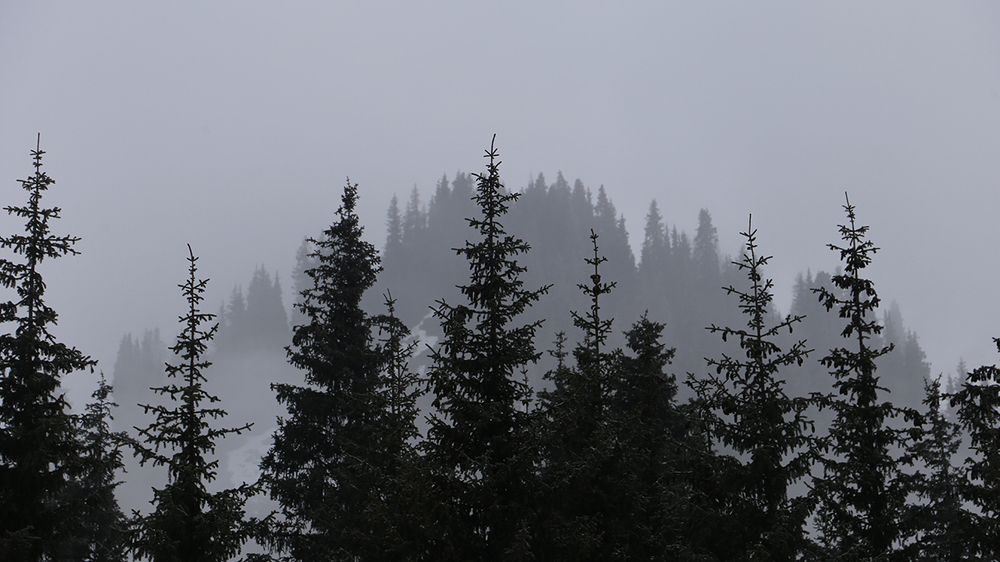 Фотография автора Виталий Исиков