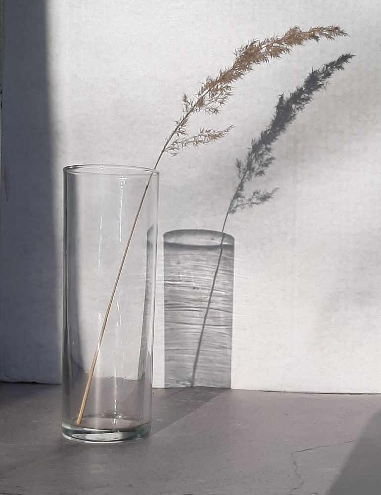 Photograph by Оксана Корепанова