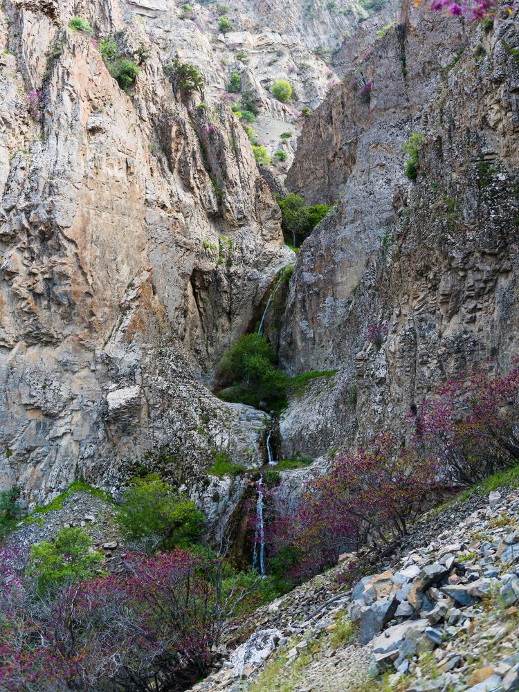 Photograph by Svetlana Krupskaya