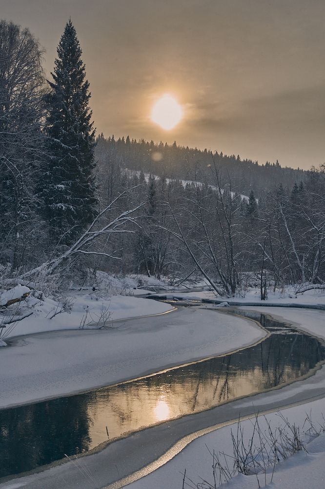 Photograph by Елена Ельцова