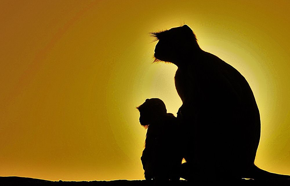 Photograph by Nirmalya Chakraborty