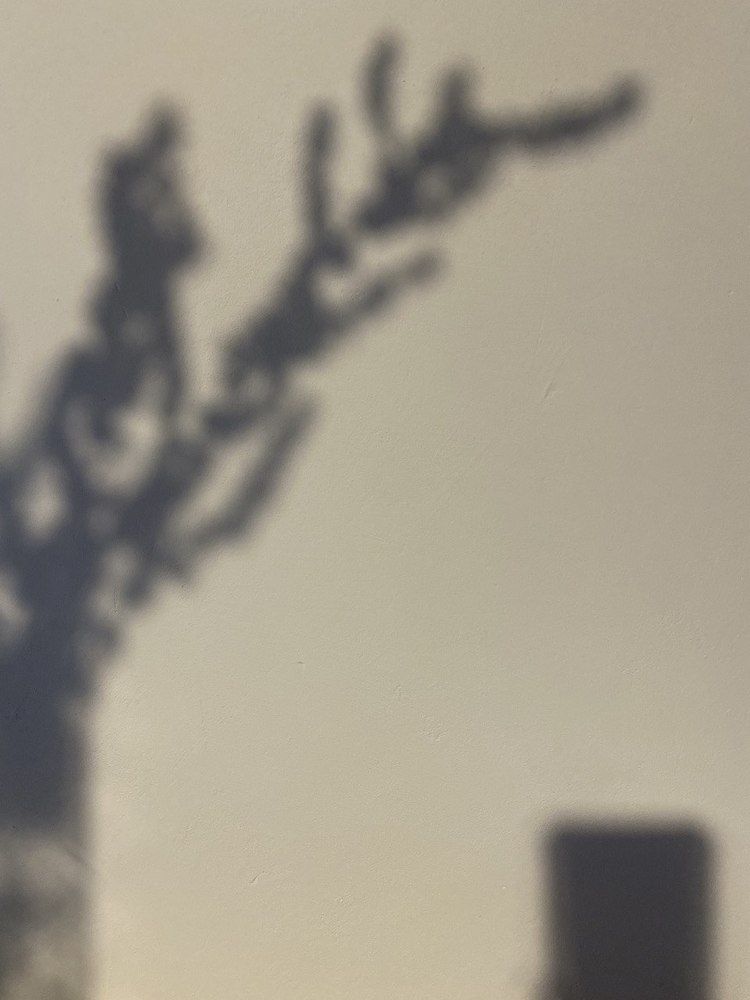 Photograph by Anna Fakhrutdinova