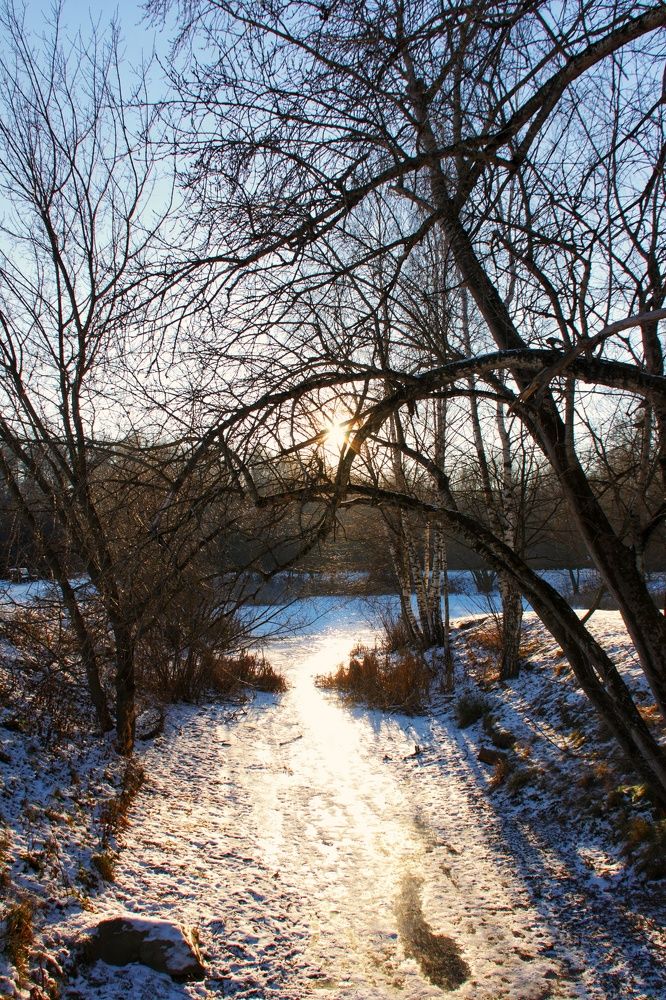 Photograph by Павел Борщев