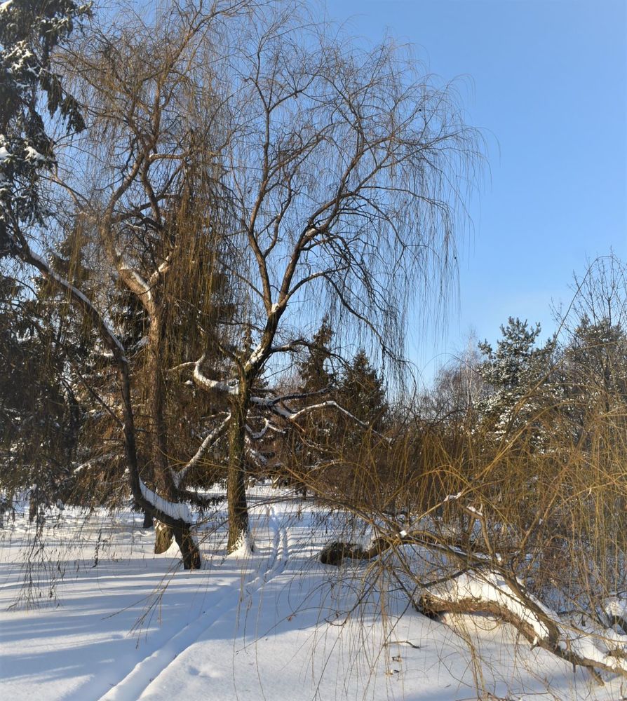 Photograph by Сергей Иванович Носов