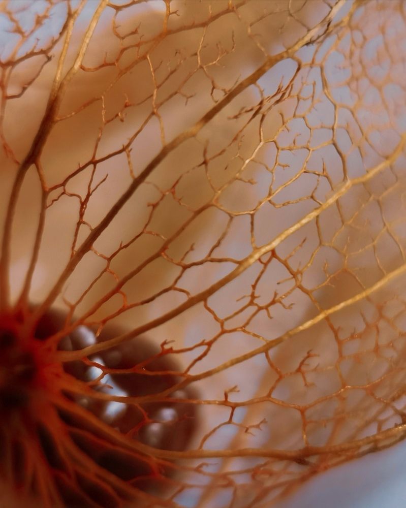 Photograph by Юлия Ледовская