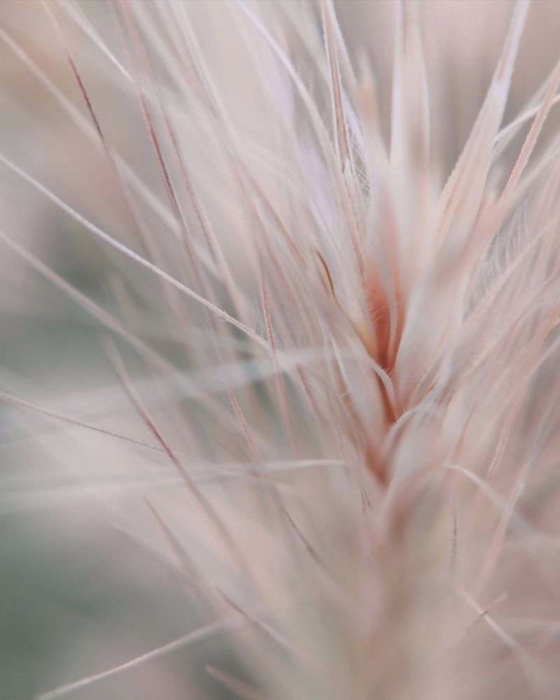 Photograph by Юлия Ледовская