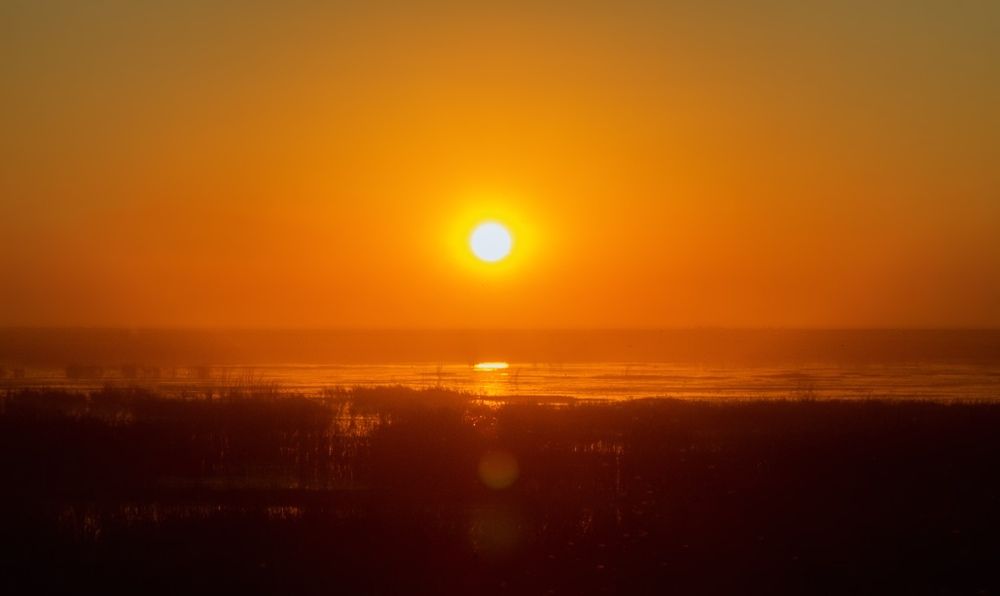 умиротворение