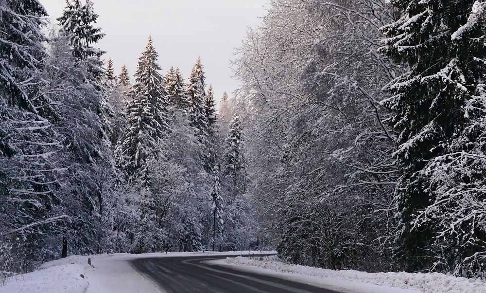 Фотография автора  Галина