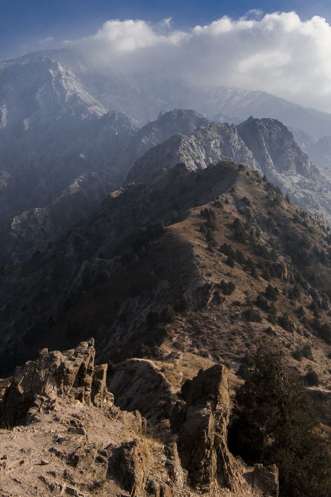 Photograph by Сергей Недогадов