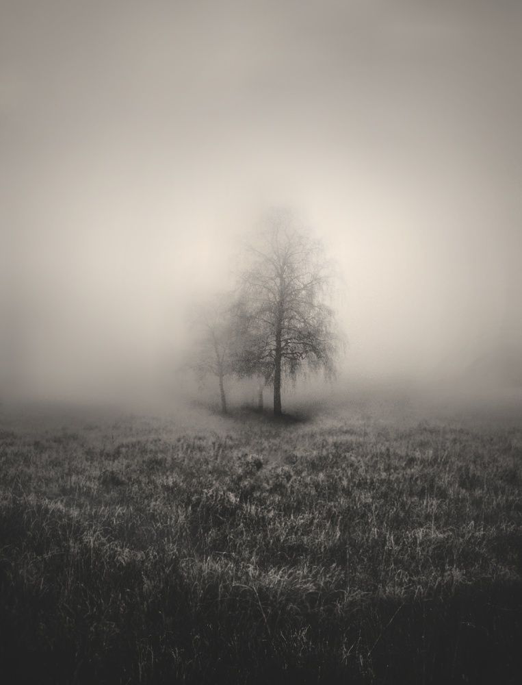 Photograph by Karim Bouchareb