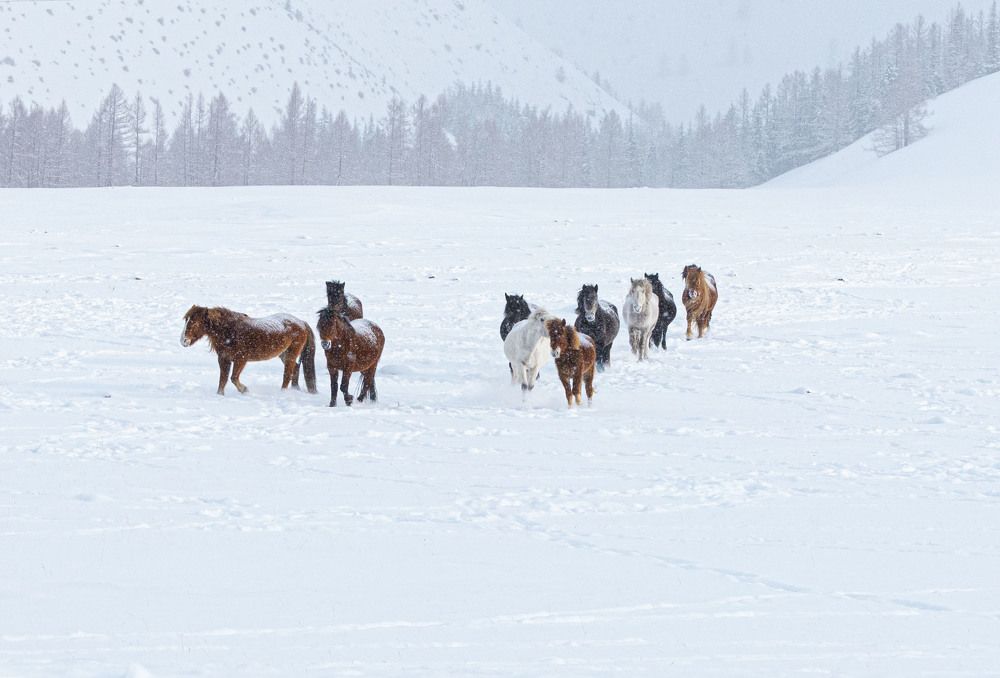 Photograph by ИРЕНА Федорова