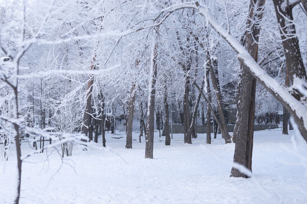 Photograph by ИРЕНА Федорова