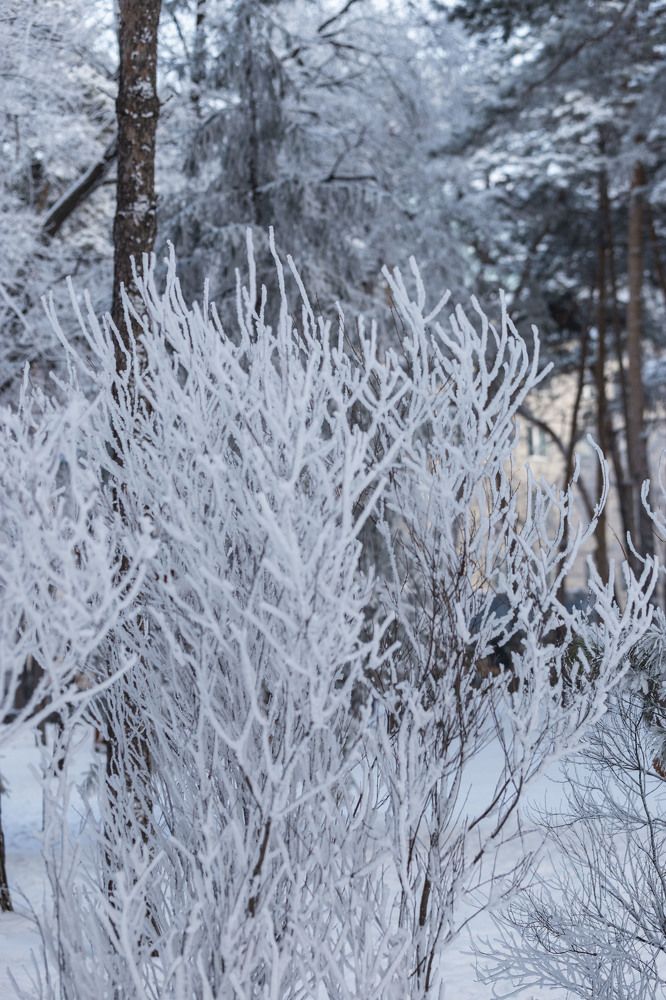 Photograph by ИРЕНА Федорова