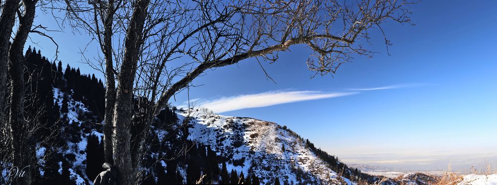 Фотография автора Виталий Исиков