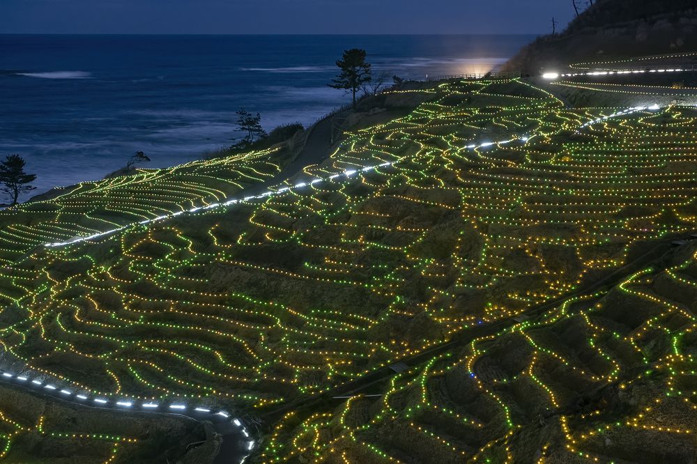 Photograph by Ikeda Akiko