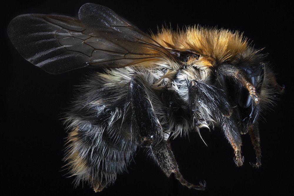 Photograph by Kamilla Ernandes