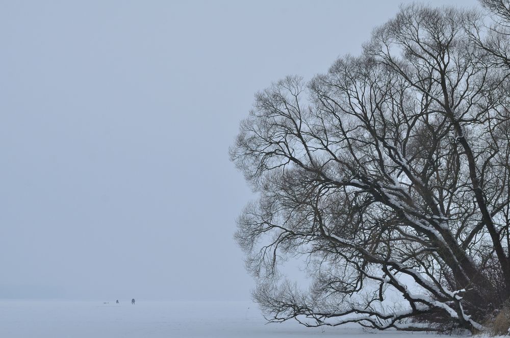 Photograph by Евгений