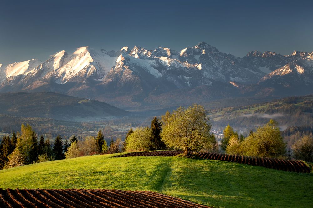 Photograph by Marcin Nalepka