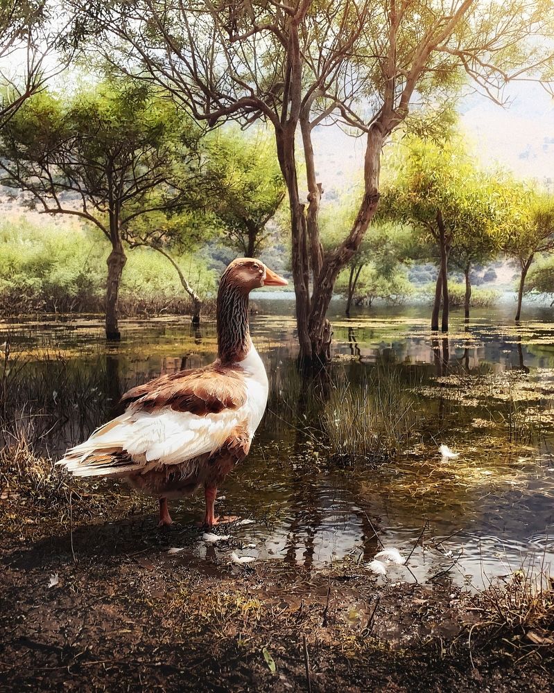 Photograph by Сергей Протасов