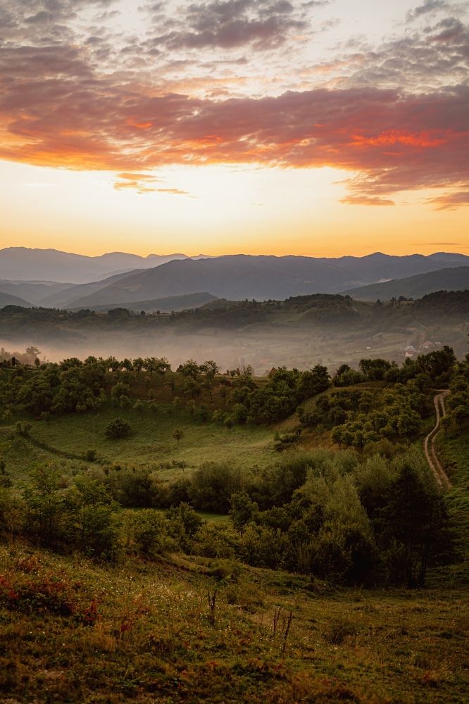 Photograph by Enache Bianca