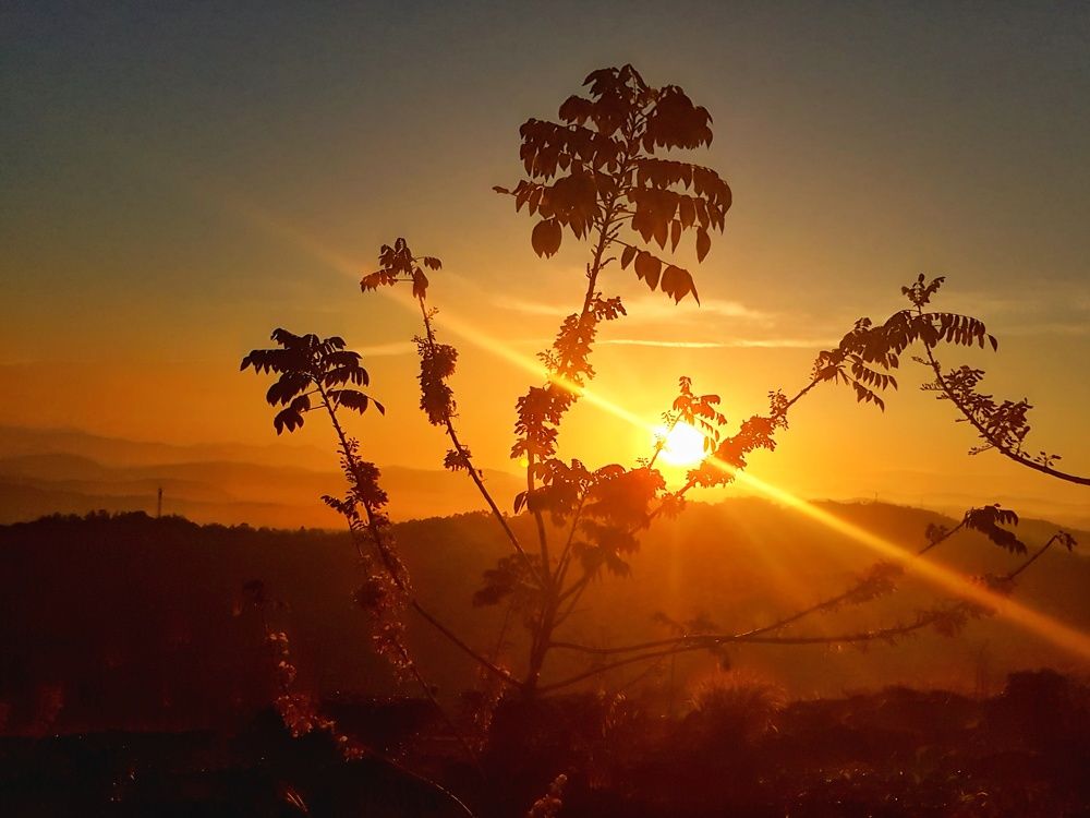 Photograph by Татьяна Мельникова