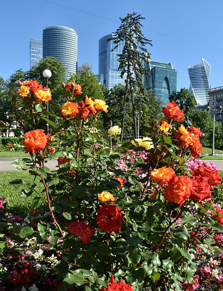 Photograph by Сергей Иванович Носов