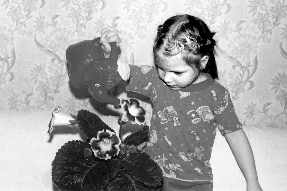 Юная хозяйка