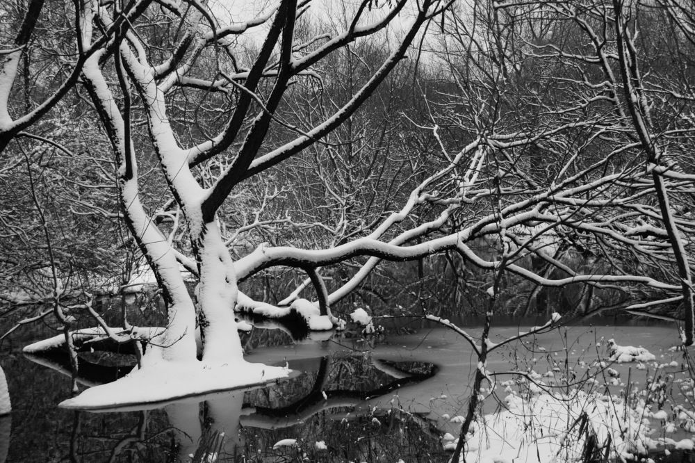 Photograph by Вадим Беляев