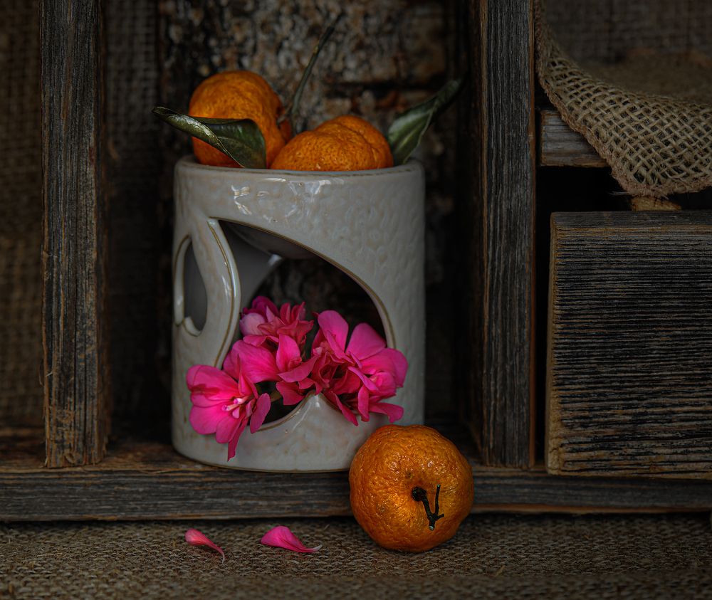 Photograph by Ольга Новикова