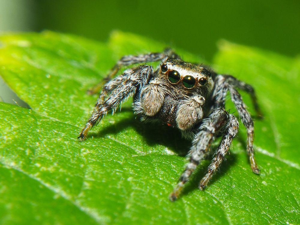 Photograph by Евгения Чепурная