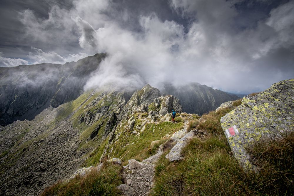 Photograph by Cosma Laura