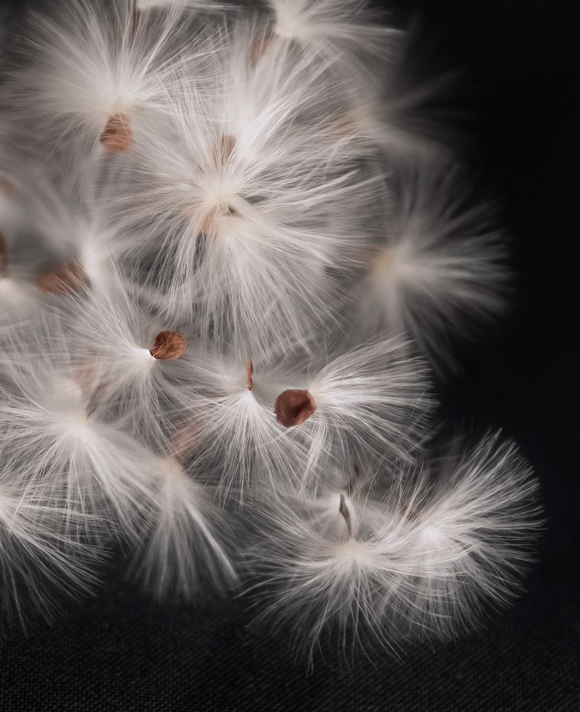 Photograph by Дмитрий Демидович