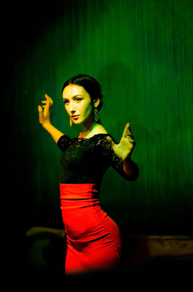 Flamenco Dancer