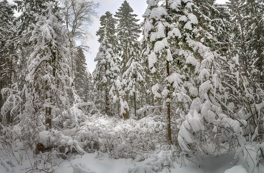 Photograph by Александр Корнейчев