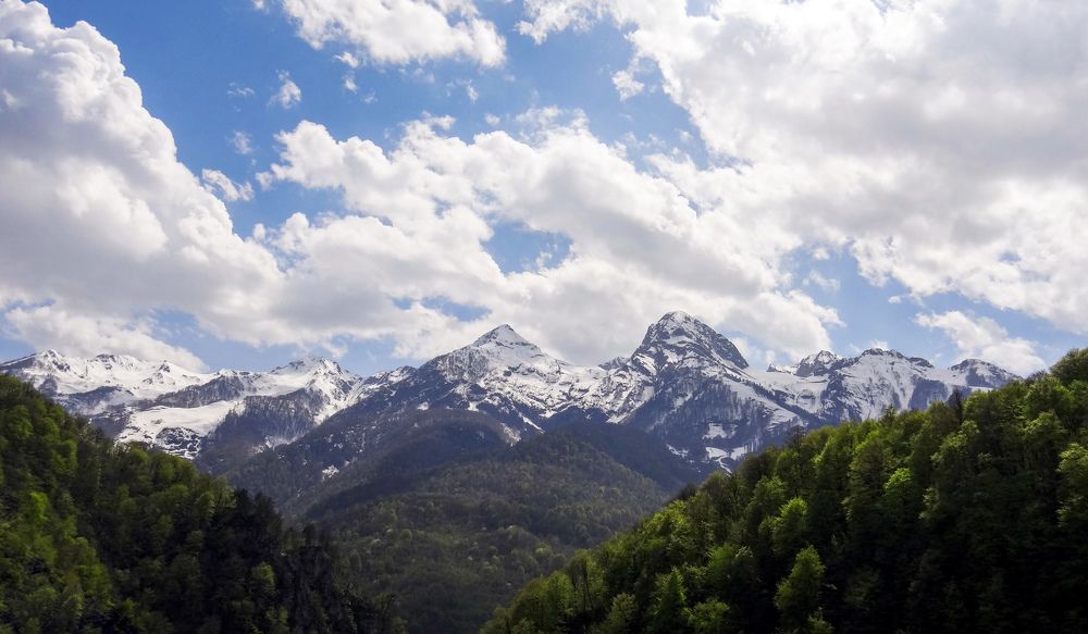 Photograph by Арина Стрябчева